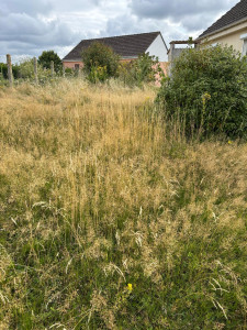 Photo de galerie - Remise en état débroussailleuse+tonte 