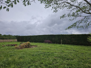 Photo de galerie - Après 