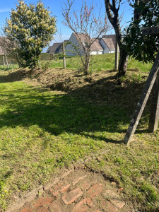 Photo de galerie - Tonte de pelouse - Débroussaillage