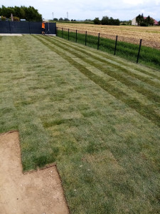 Photo de galerie - Pose gazon en rouleau 