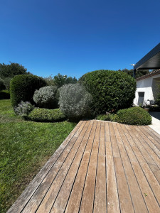 Photo de galerie - Taille d’un massif 