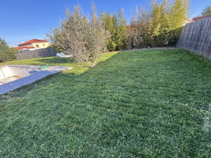 Photo de galerie - Tonte 