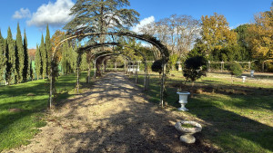 Photo de galerie - Taille rosier 