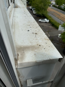 Photo de galerie - Avant de ménage 