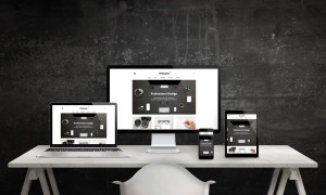 Photo de galerie - Site responsive