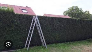 Photo de galerie - Jardins 