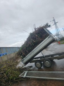 Photo de galerie - Taille de haies et d'arbustes