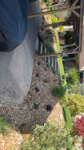 Photo de galerie - Paysagiste - Aménagement du jardin