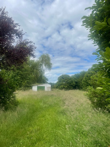 Photo de galerie - Tonte de pelouse - Débroussaillage