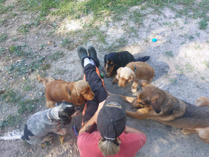 Photo de galerie - Moment de partage avec mes chiens 