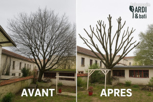 Photo de galerie - Élagage et coupe d arbres