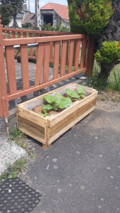 Photo de galerie - Paysagiste - Aménagement du jardin