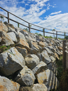 Photo de galerie - Herbe nettoyer 