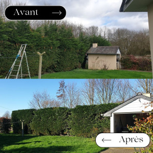 Photo de galerie - Taille de haies 