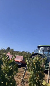 Photo de galerie - Réalisation de la majorité des travaux viticoles en exploitation.