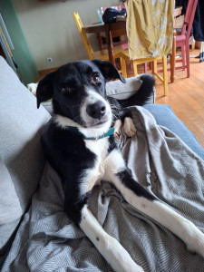 Photo de galerie - Janvier 2026