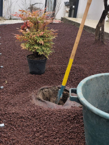 Photo de galerie - ? Plantation pour vos plantes.