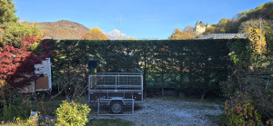 Photo de galerie - Taille de haie