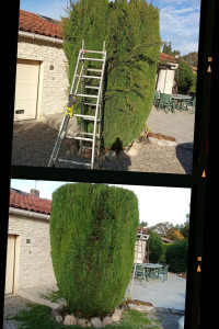 Photo de galerie - Taille