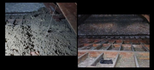 Photo de galerie - Évacuation déchets - Gravats