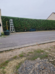 Photo de galerie - Jardinier