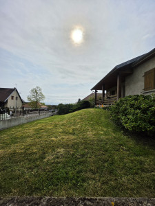 Photo de galerie - Tonte de pelouse 