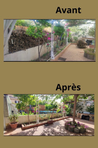 Photo de galerie - Taille de haies