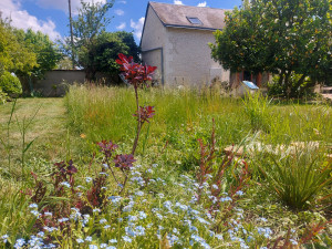 Photo de galerie - Paysagiste - Aménagement du jardin