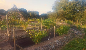 Photo de galerie - Jardinier