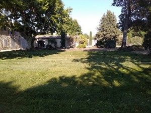 Photo de galerie - Jardinier