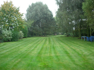 Photo de galerie - Entretien de jardin