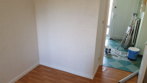 Photo de galerie - Peinture sur murs ,plinthes 