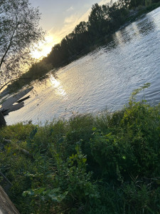 Photo de galerie - Je suis disponible 24/24 hésite pas à me contacter Merci 