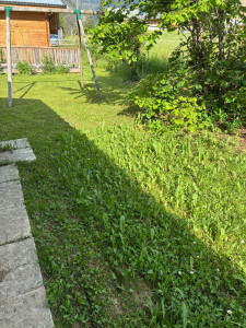 Photo de galerie - Tonte de pelouse