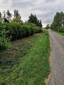 Photo de galerie - Tonte de pelouse - Débroussaillage