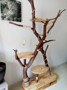 Photo de galerie - Arbre à chat 
