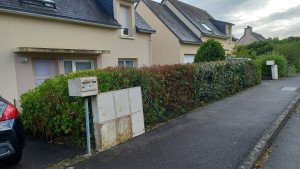 Photo de galerie - Après: une haie parfaitement taillée, droite et harmonieuse, qui met en valeur le jardin et dégage l'espace.