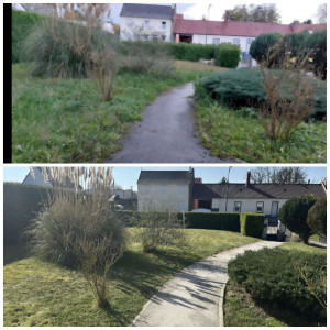 Photo de galerie - Tonte de pelouse et d'ébroussaillages.