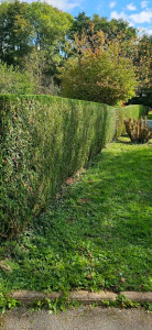 Photo de galerie - Petry 