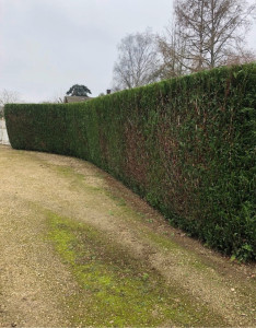 Photo de galerie - Après