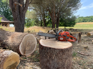 Photo de galerie - élagage, débardage et valorisation du bois 