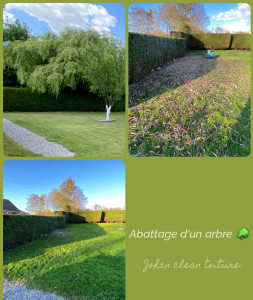 Photo de galerie - Elagage et coupe d'arbres
