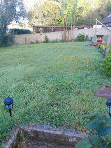 Photo de galerie - Entretien jardin avant 