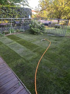 Photo de galerie - Paysagiste - Aménagement du jardin