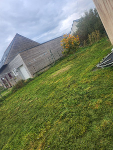 Photo de galerie - Debroussailleuse et tonte pelouse