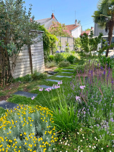 Photo de galerie - Aménagement végétale d’un jardin sur Nantes