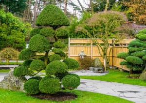 Photo de galerie - Entretien de jardin style japonais 