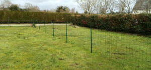 Photo de galerie - Clôture Grillage