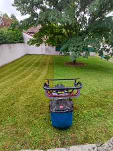 Photo de galerie - Tonte de pelouse - Débroussaillage