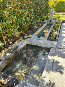 Photo de galerie - Mise en route bassin 